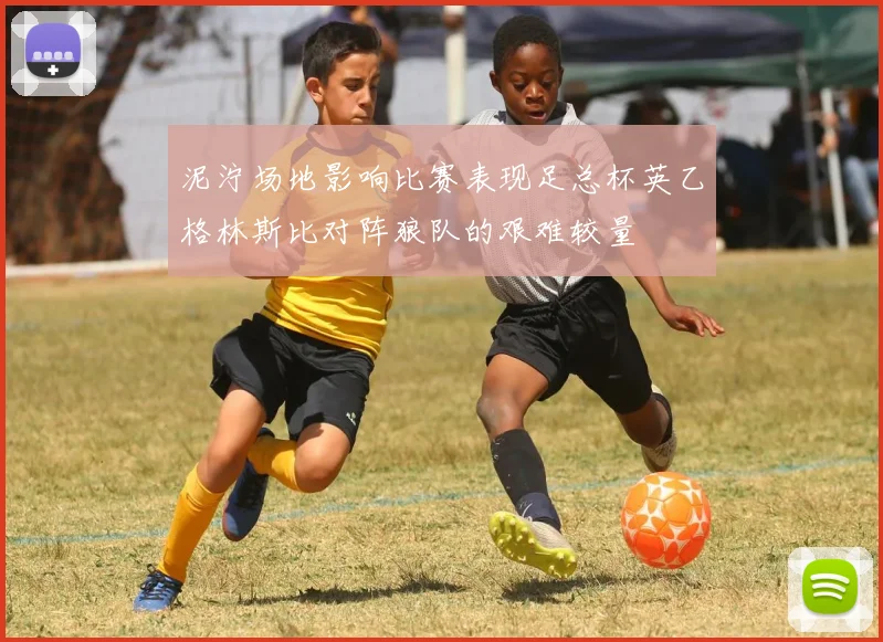 泥泞场地影响比赛表现足总杯英乙格林斯比对阵狼队的艰难较量