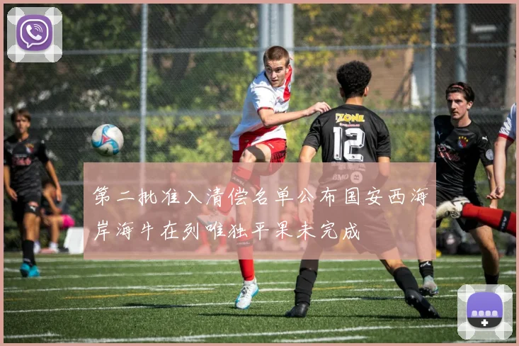 第二批准入清偿名单公布国安西海岸海牛在列唯独平果未完成