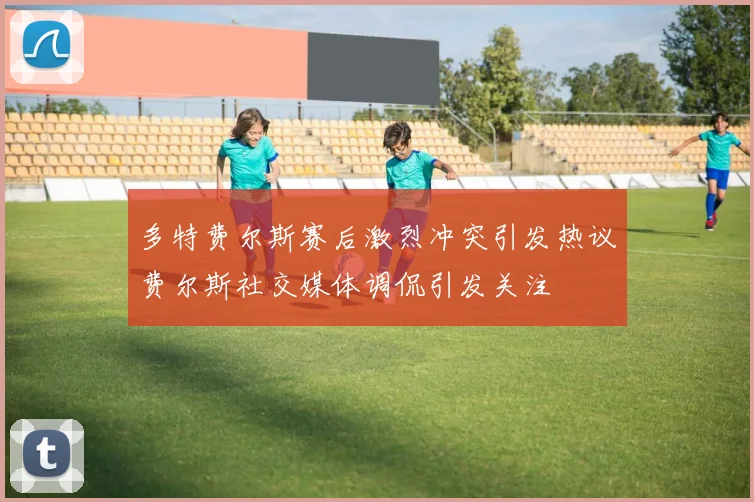 多特费尔斯赛后激烈冲突引发热议费尔斯社交媒体调侃引发关注