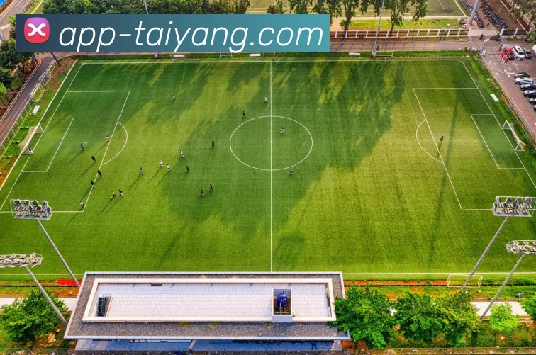 多媒体互动体验