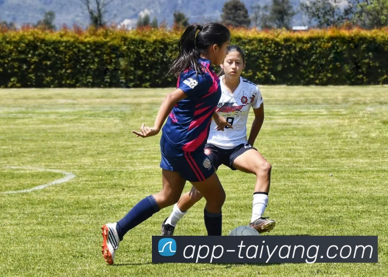 太阳城APP 高清赛事图